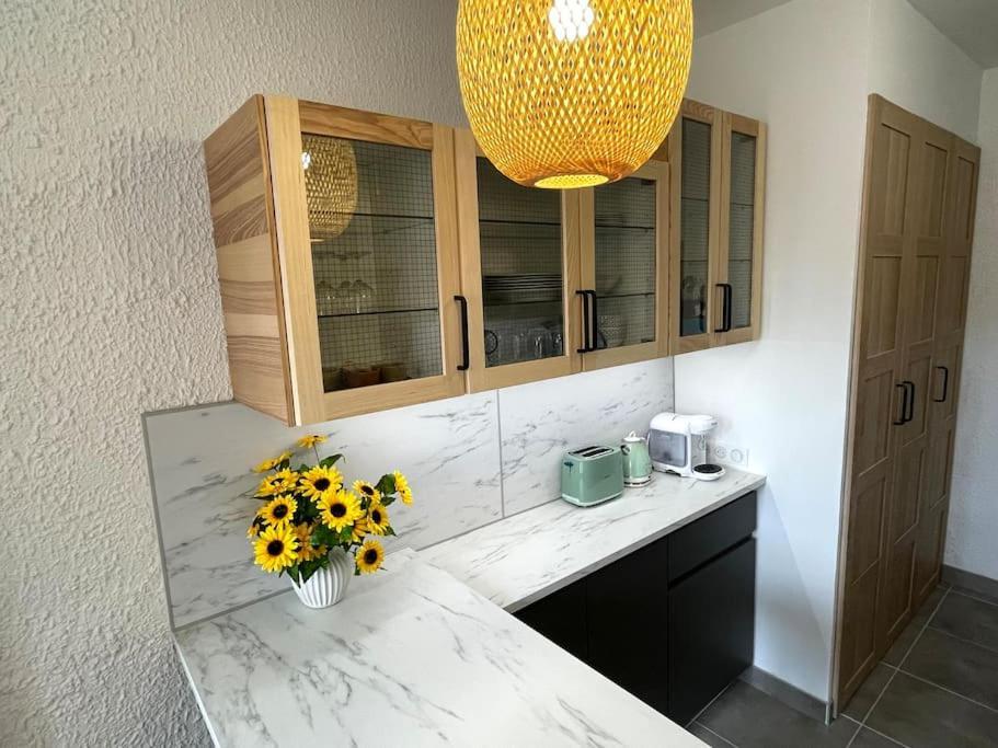 Pause Cathare Apartment Chalabre Bagian luar foto